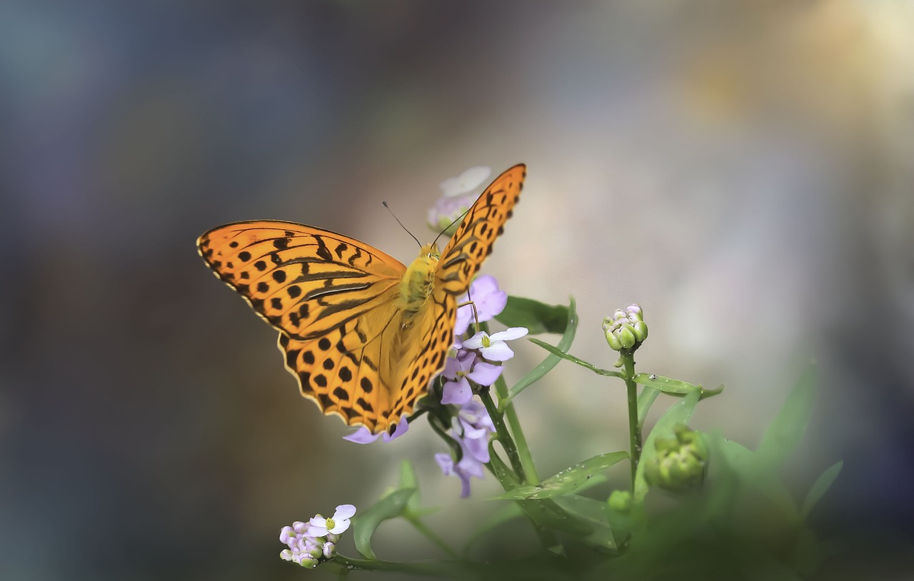 How Eating Insects Could Help the Environment